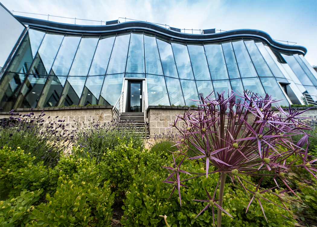 Rear exterior of the Business School with plants