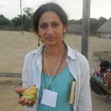 Photo of Prof Jay Mistry on fieldwork. In their right hand is a bunch of tiny bananas.