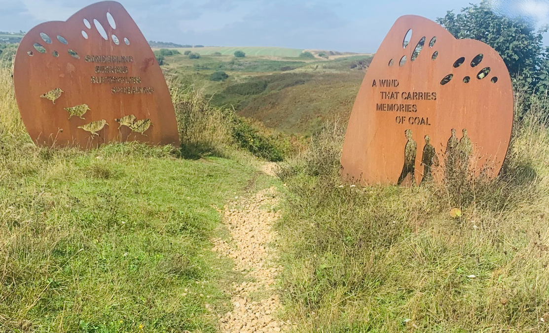 Environmental Histories and Futures of the North East