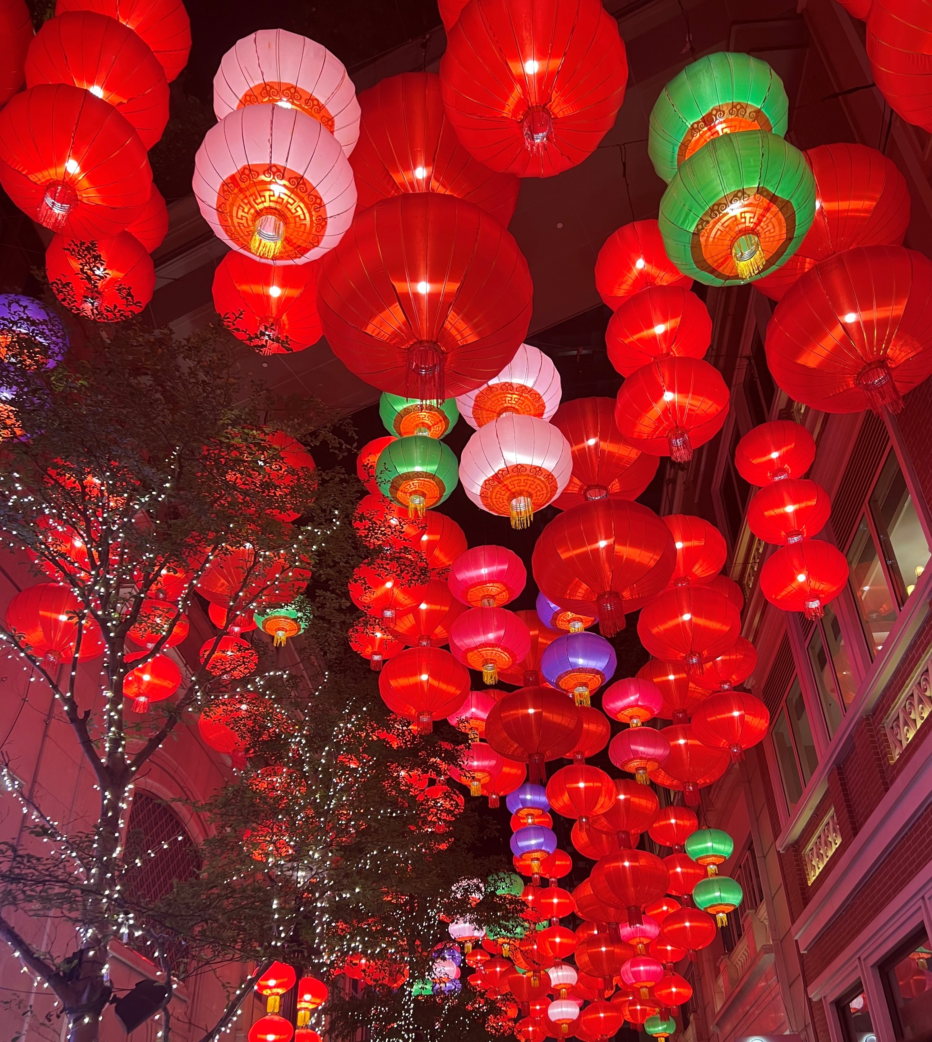 Red lanterns illuminating in the trees above a Hong Kong street