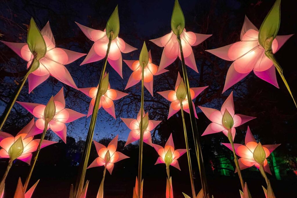 A group of giant flower lanterns made by light art studio JIGANTICS