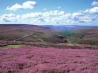 North pennines