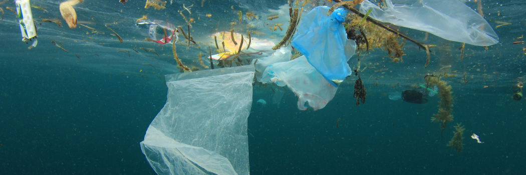 underwater photo of trash dumped in the sea