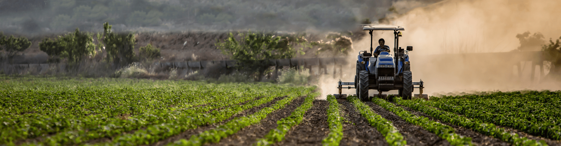 Tractor farming a crop