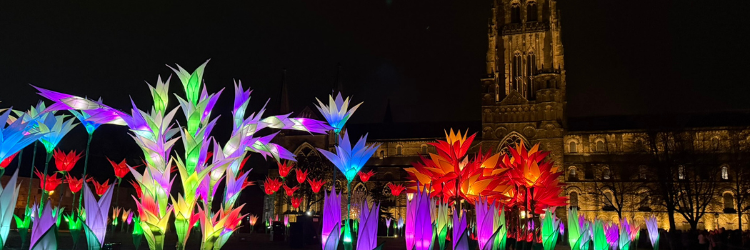 Elysium Garden at Durham Cathedral for Lumiere 2025