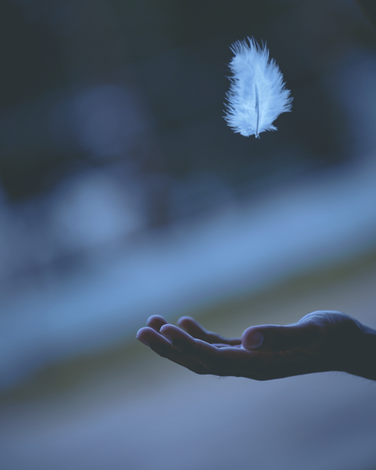 Hand open capturing floating feather