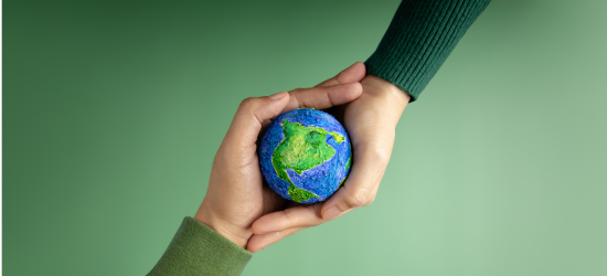 Sustainability