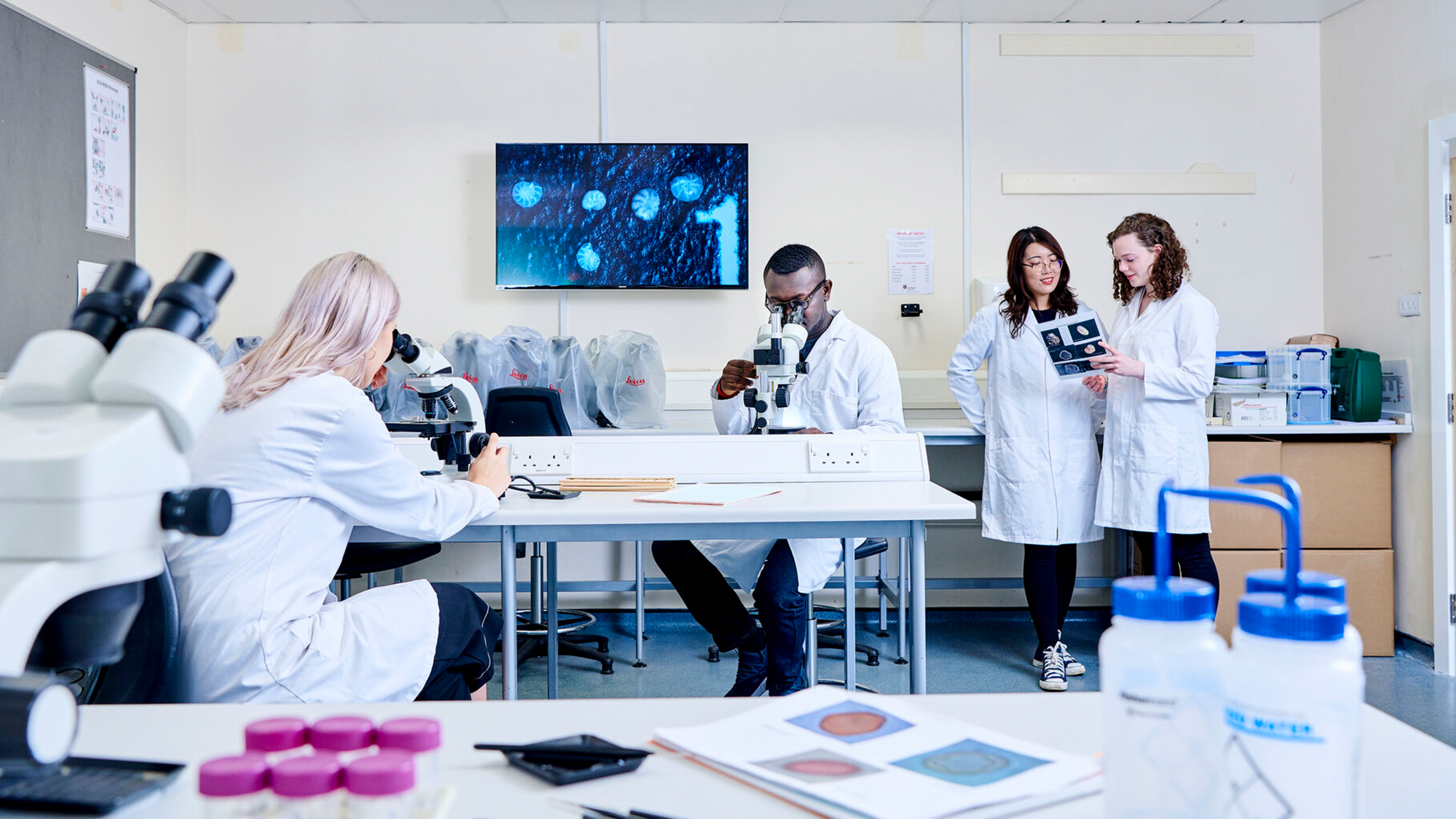 Students using scientific equipment in a lab