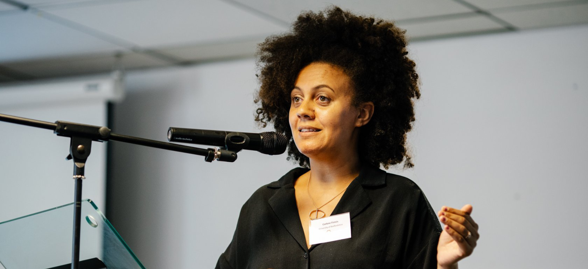 Professor Carlene Firmin speaking at an event