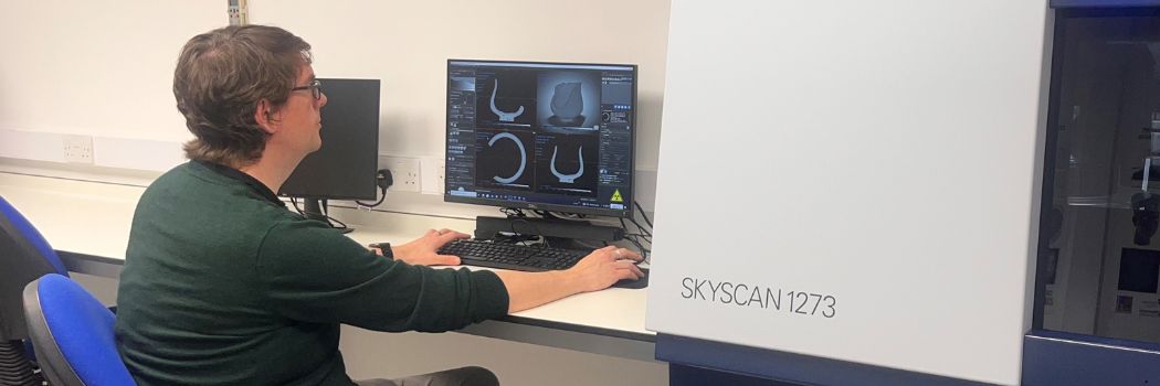 A researcher looks at scan images on a computer screen