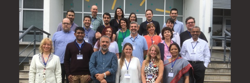 NTD TEAM
