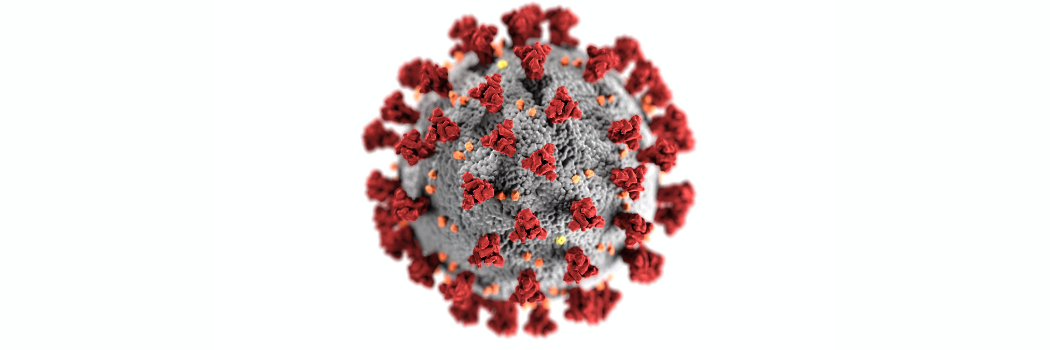 Covid-19 cell