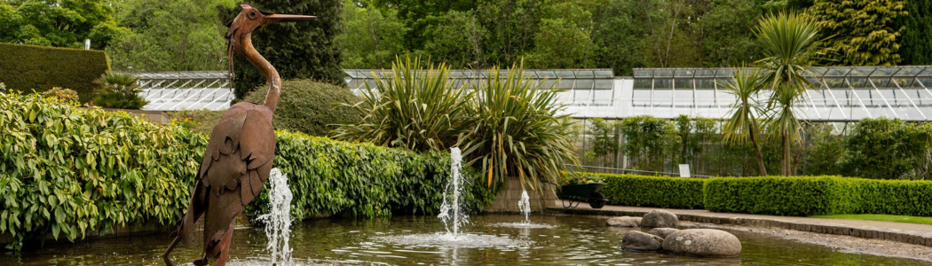 A heron sculpture sits in a pond at the Botanic Garden with greenhouses and plants in the background