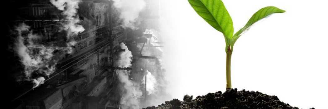 A green leaf in soil against an industrial background