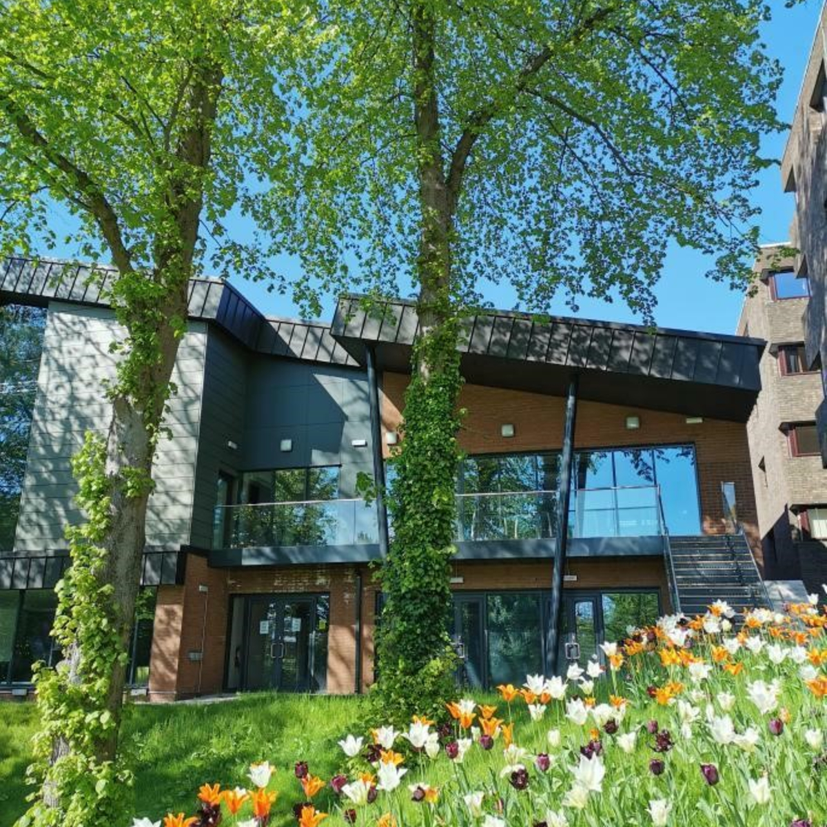 Collingwood College external with flowers and trees