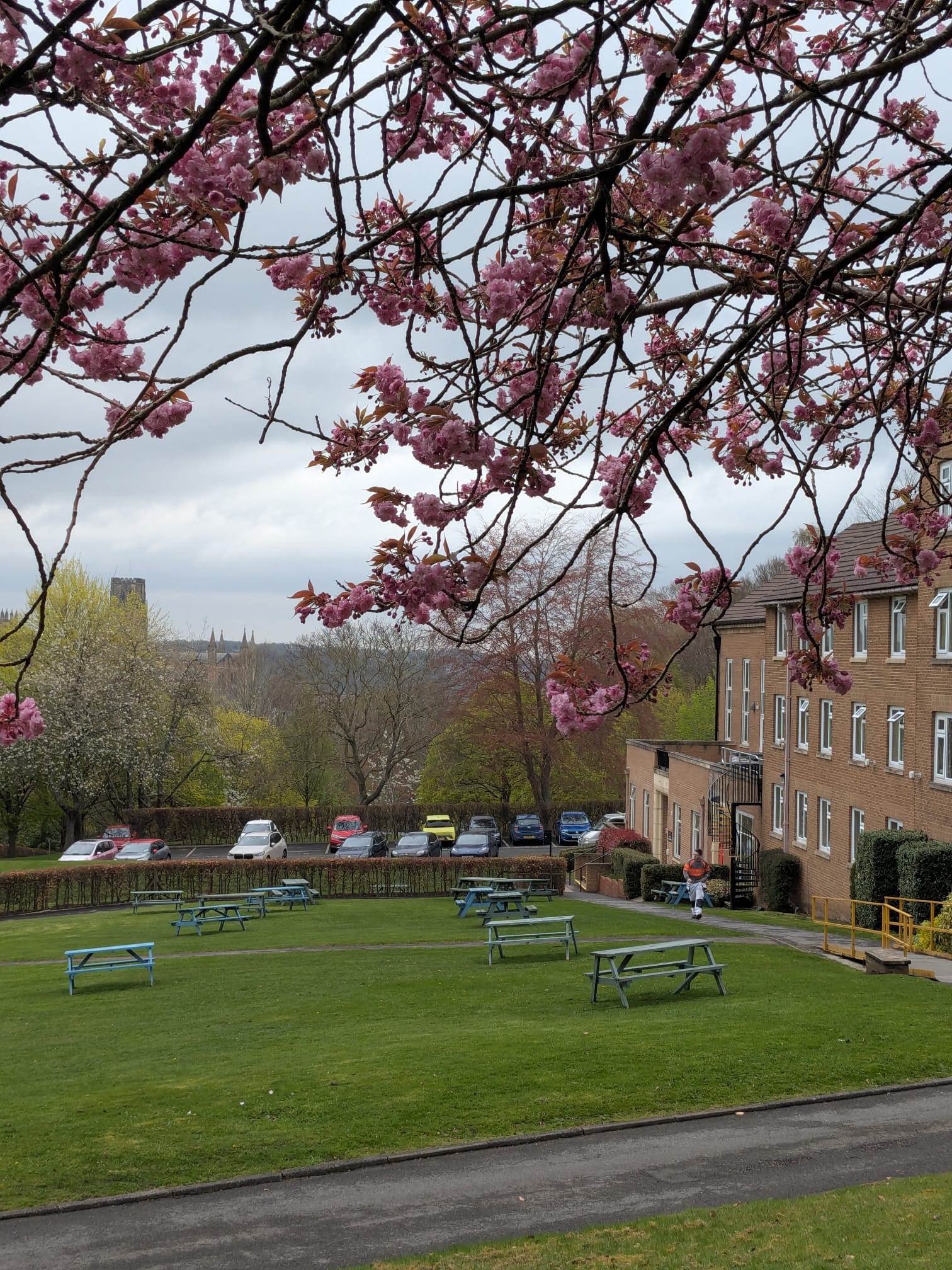 Shot of Grey College in April