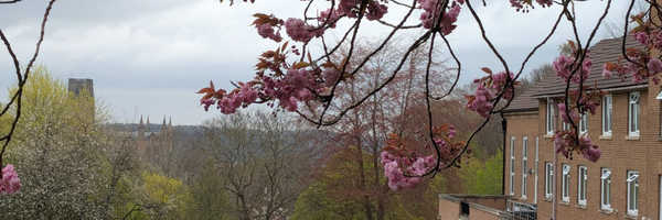 Banner image of Grey College landscape view of cathedral