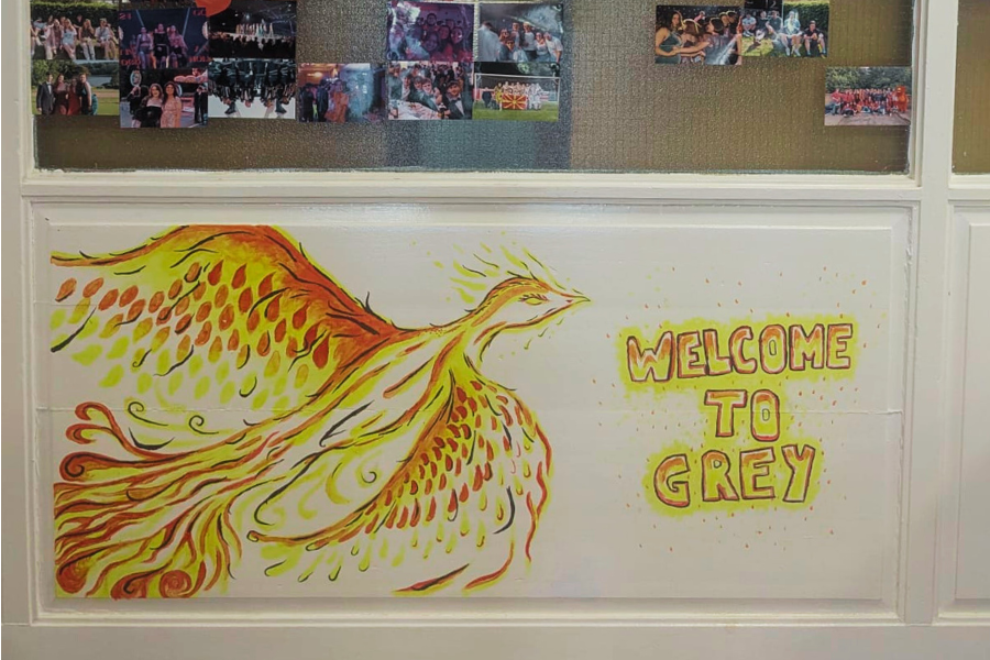 Hand painted picture of a Phoenix in Grey College