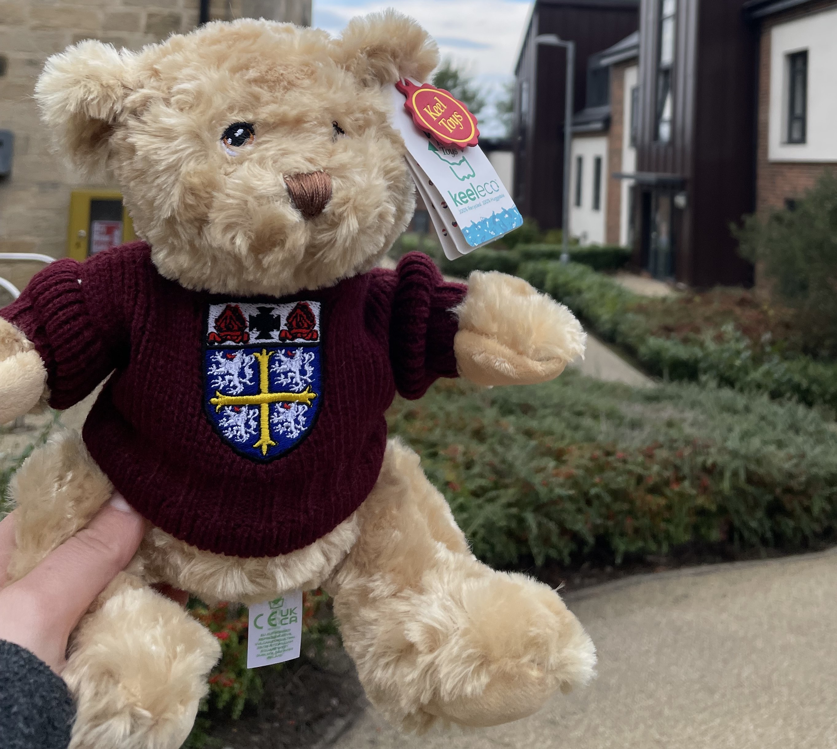 Teddy