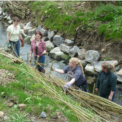 Student volunteers by a stream