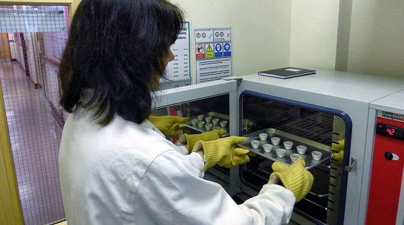 A person loading samples into a drying oven in the Archaeological Science Lab
