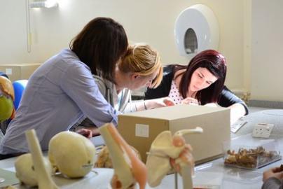 A group of students examine bone samples