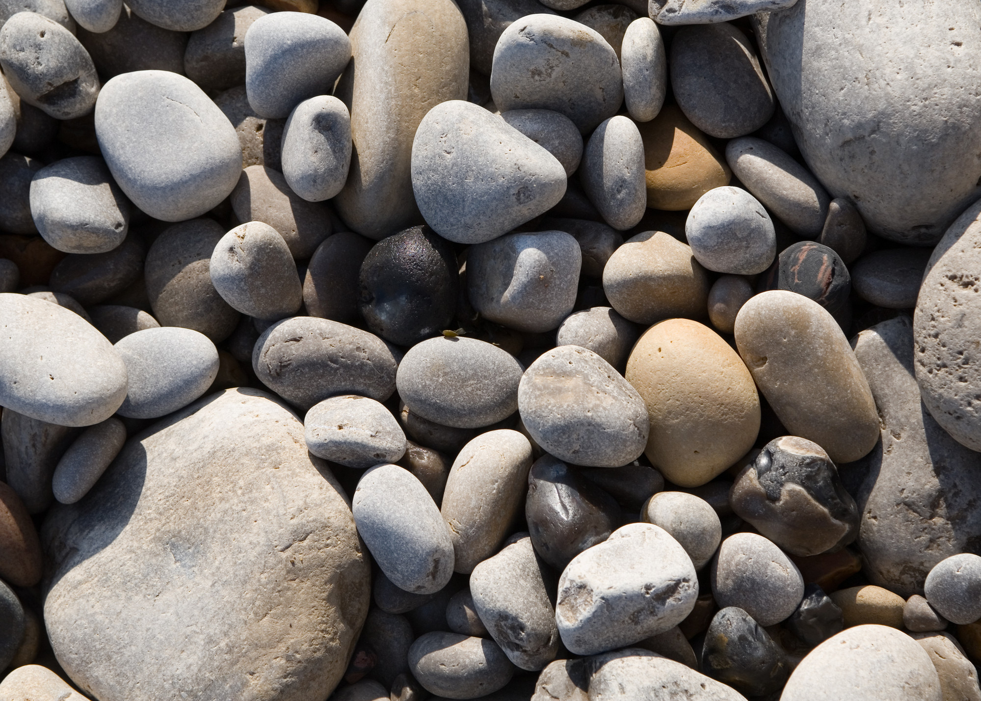 Close-up of pebbles