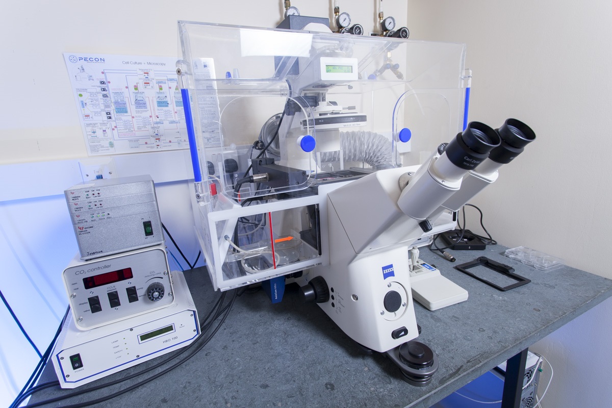 Microscope for imaging living cells