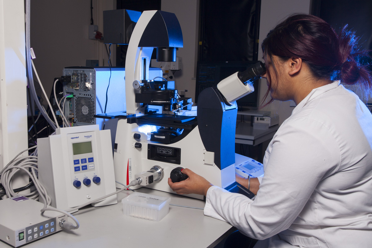 TStudent using Leica Microscope