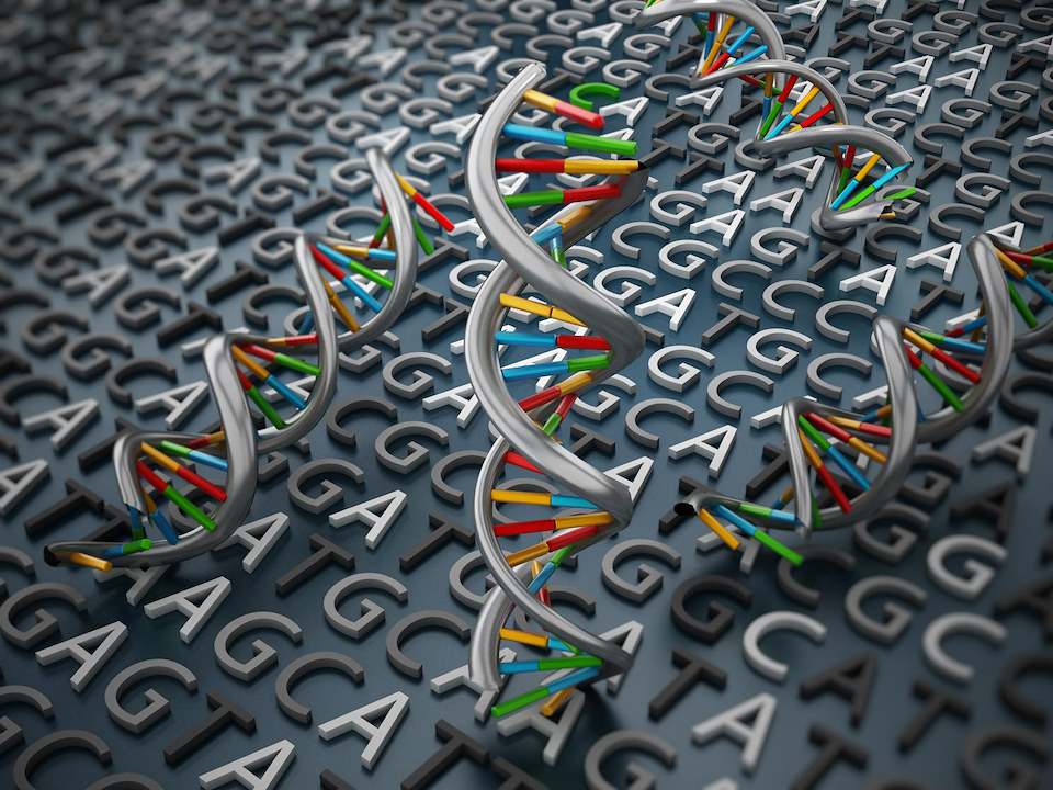 Genomics Facility