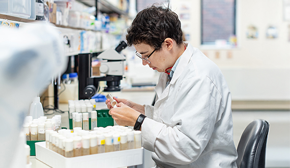 A researcher wearing a lab coat working with drosophila in a laboratory setting