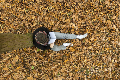 A student sitting under a tree