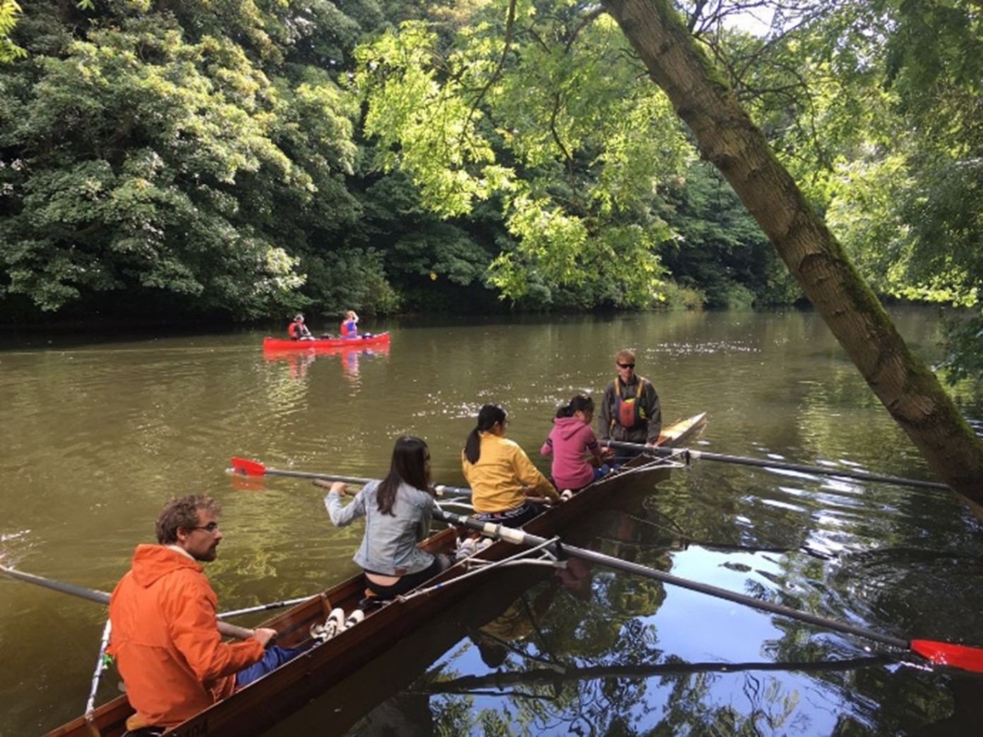 students rowing