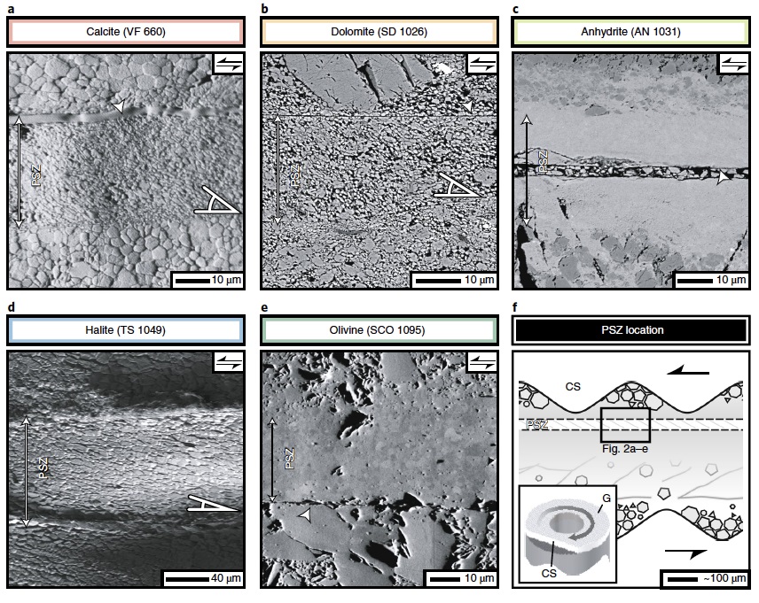 Scanned images of different rock types