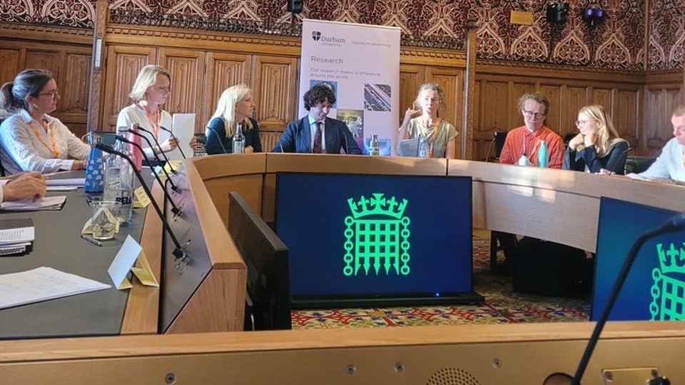 Speakers at the 'Climate and Nature'  Parliamentary Round table, Westminster, 8th September 2025