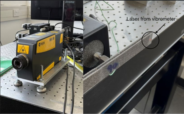 Vibrometry images