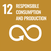Sustainable Development Goal 12