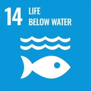Sustainable Development Goal 14