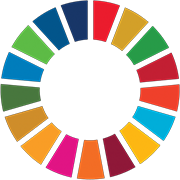 Sustainable Development Goals icon