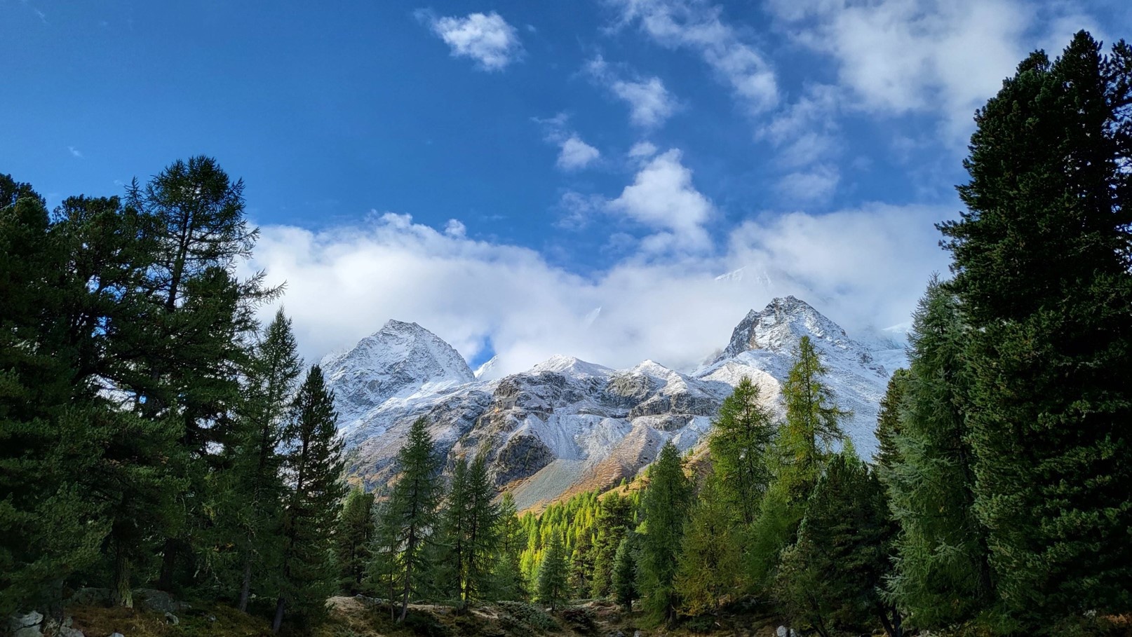 A mountain poking through clouds