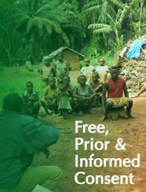 Free, Prior & Informed Consent
