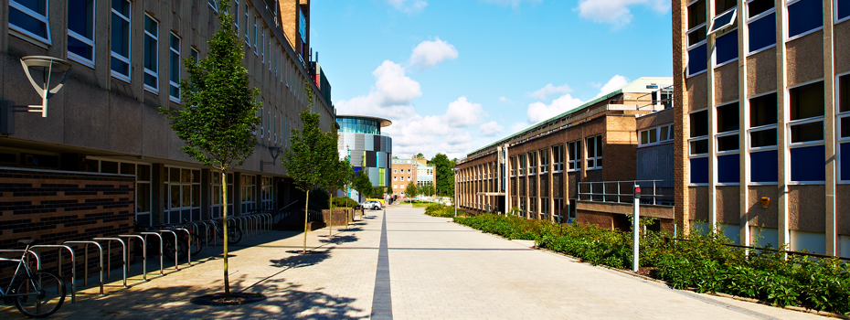 Lower Mountjoy Campus