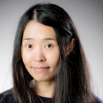 Profile photo of Professor Jie Sui