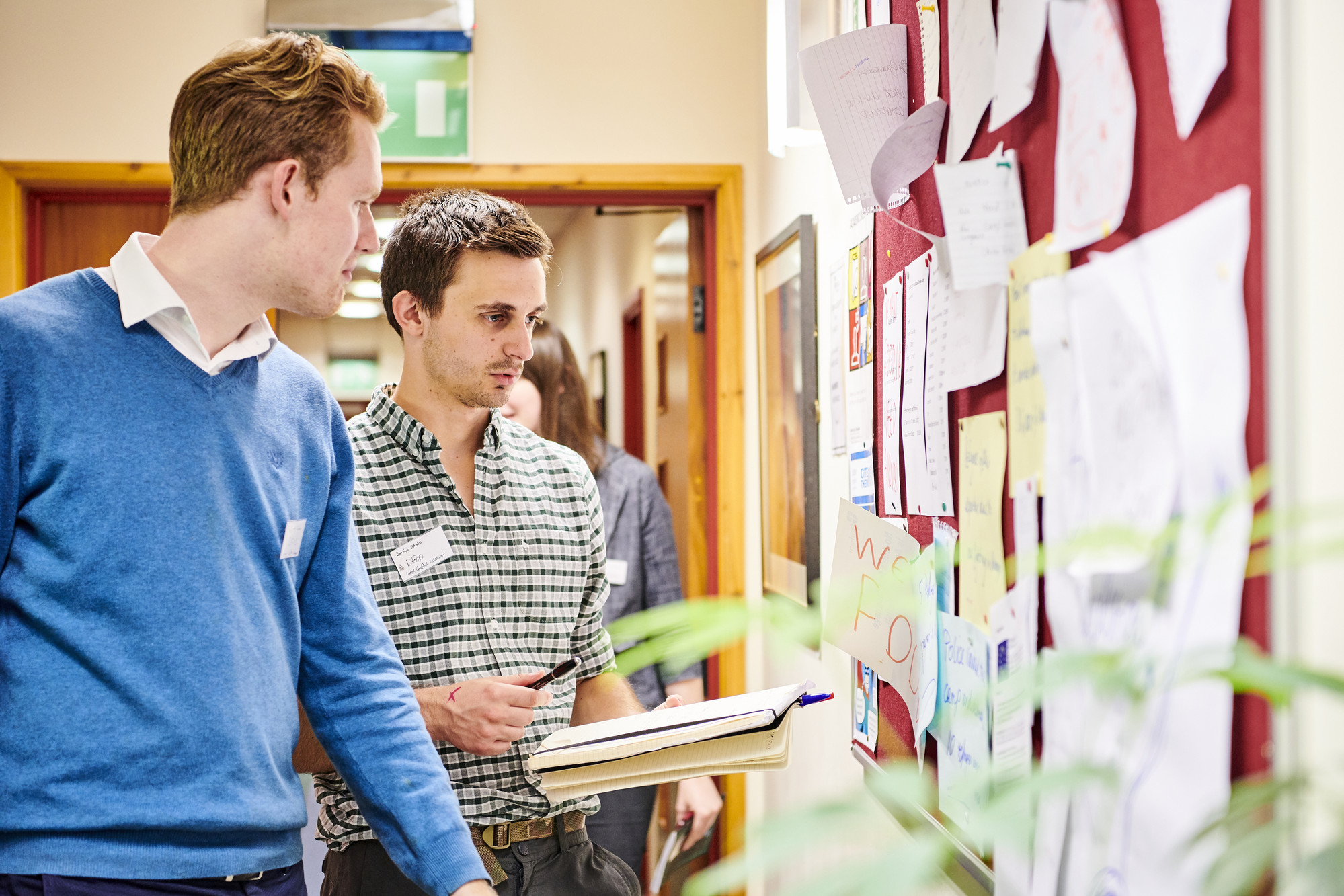 Students looking at a noticeboard