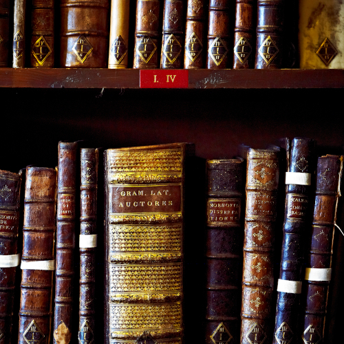 Shelf of books