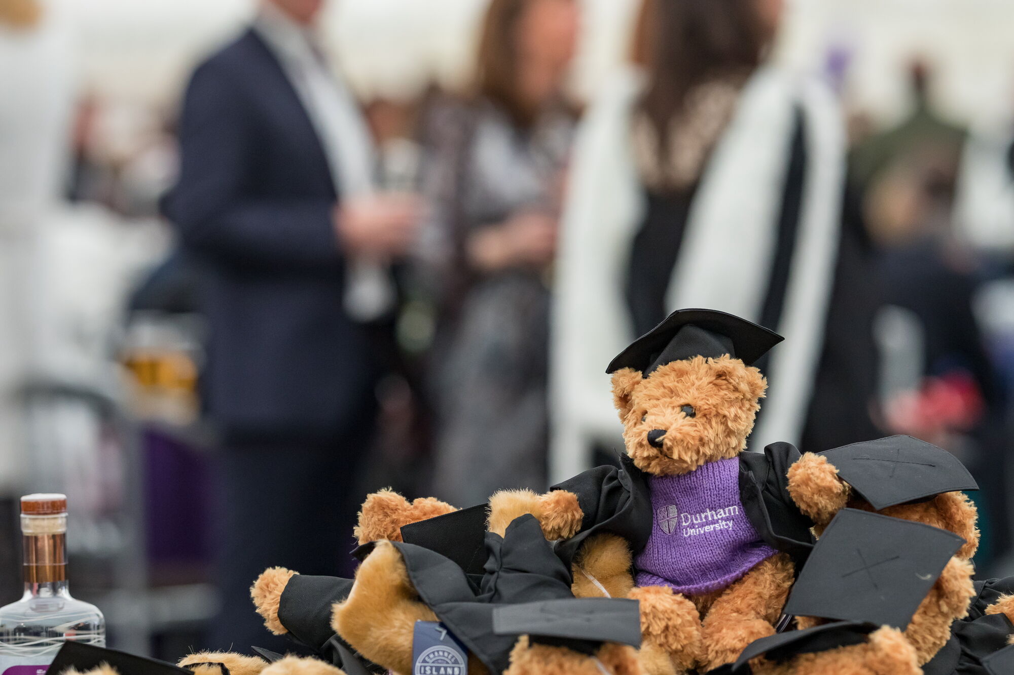 Brown fluffy teddy with mortar board and Durham University jumper on