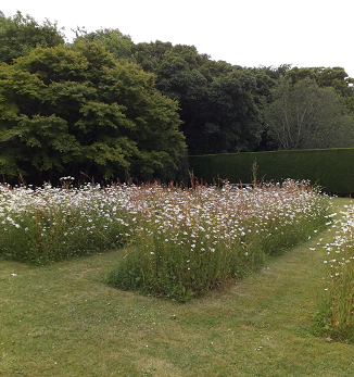 Botanic Garden Wildflower Trial