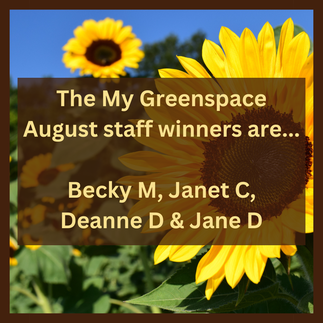 The My Greenspace August staff winners are... Becky M, Janet C, Deanne D & Jane D!