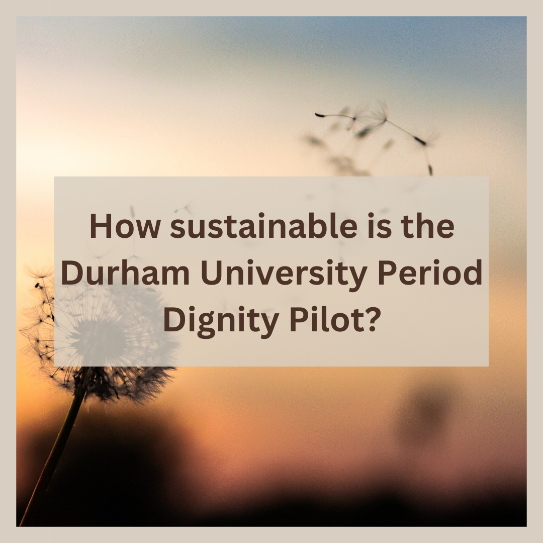 How sustainable is the Durham University Period Dignity Pilot?