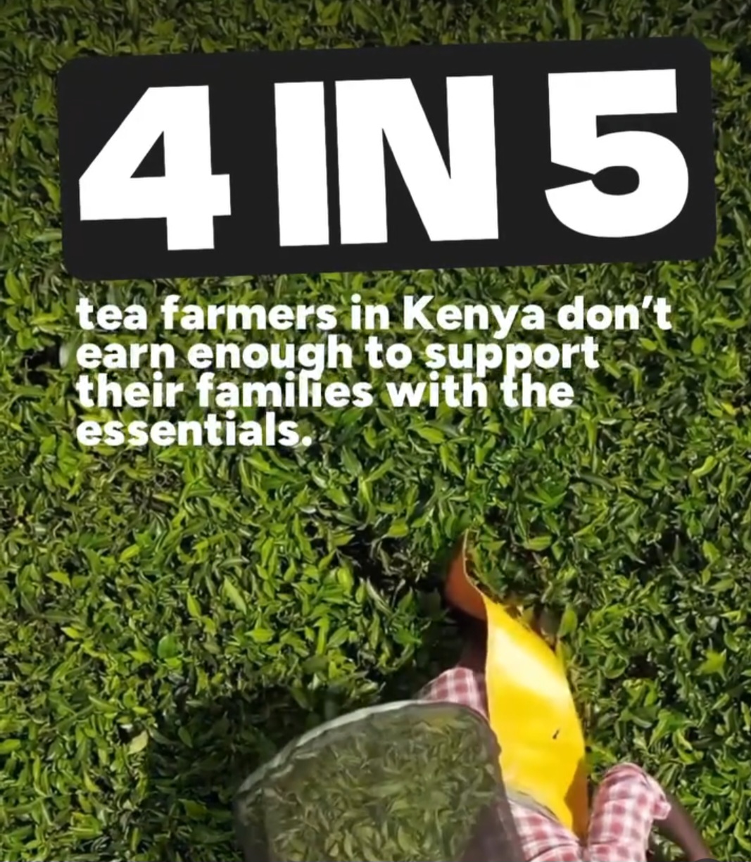 Fairtrade -  fill your basket with fairness